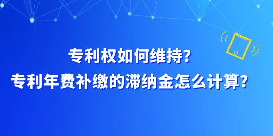 專利權如何維持？專利年費補繳的滯納金怎么計算？