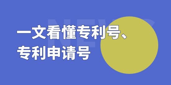 專利申請號可以查到專利號嗎？一文看懂專利號、專利申請號